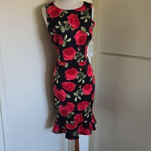 New York Clothing Company Blk/Red Rose Print Slvls Dress, NWT, Sz. 10